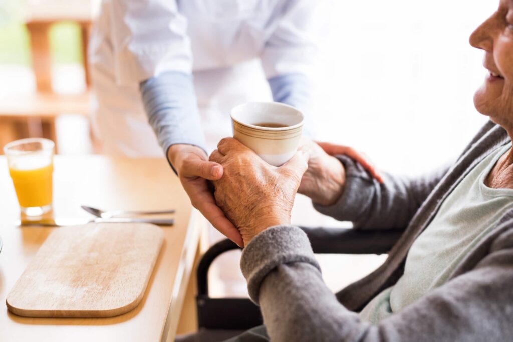 The Role of Professional Caregivers